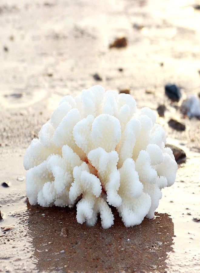 Besimple Pack of 2 Artificial Coral Ornament, Aquarium Resin Coral Decor Underwater Sea Plants Fish Tank Decoration Aquarium Plants - Image 2